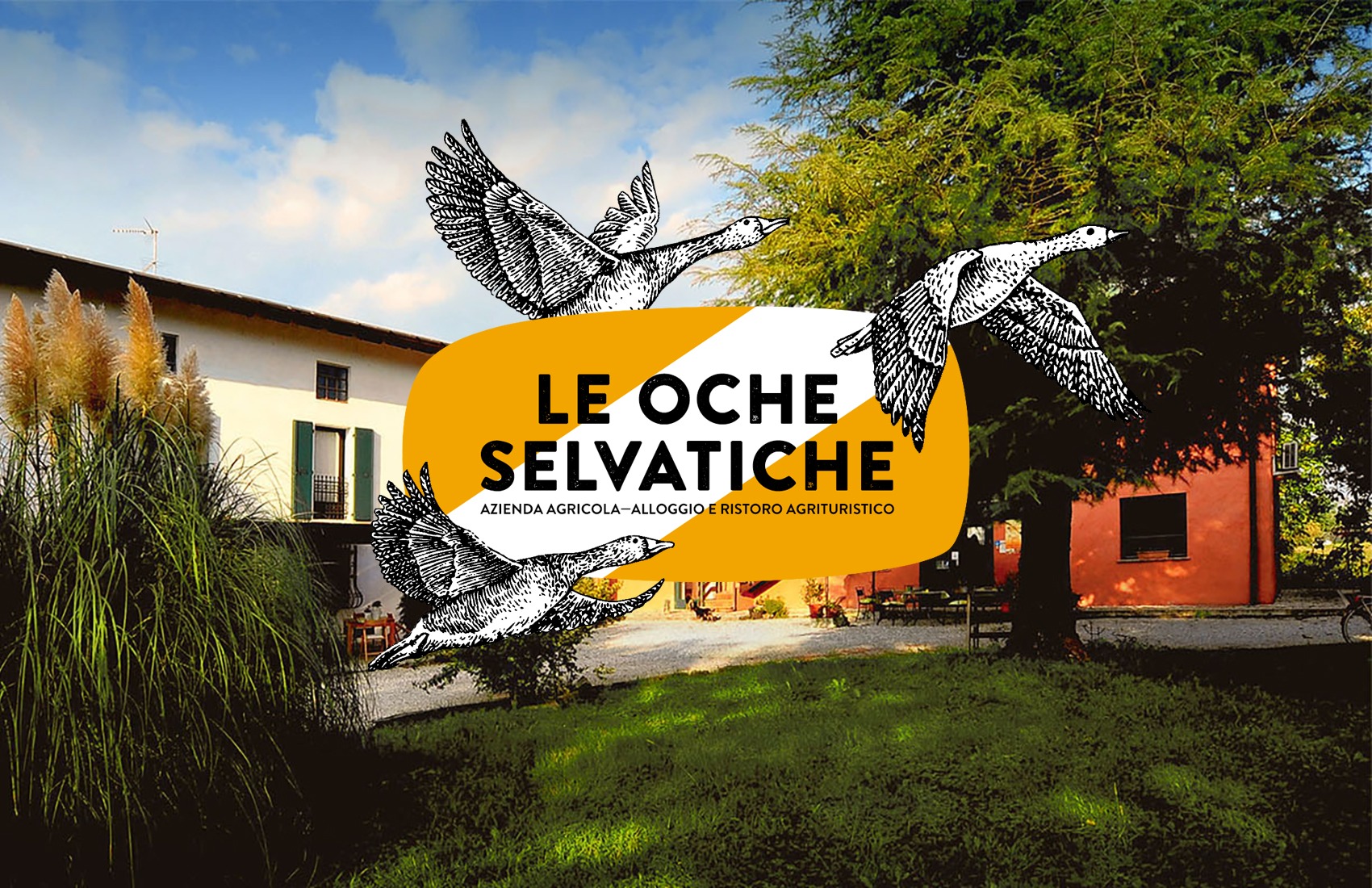 LE OCHE SELVATICHE - Alloggio e ristoro agrituristico