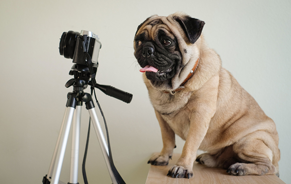 Studio Claudia Degano Photo - Elisa Studio - Udine