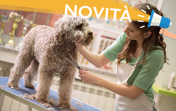 La Bella Vita - Toelettatura Pet Shop - Tavagnacco