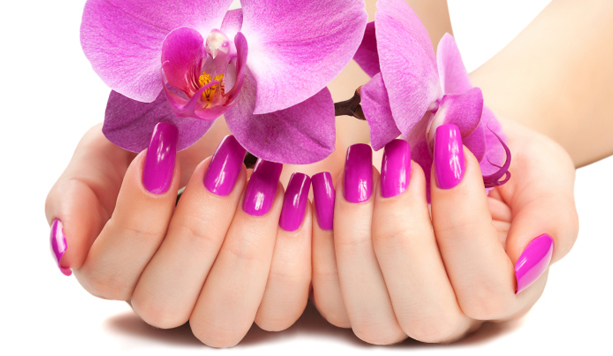 Alis & Nails - Pordenone