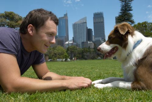 Oh my dog!! - Tavagnacco