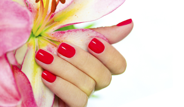 L'estetica Alessandra - Cordenons