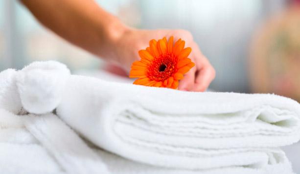 Lavandaria - Pagnacco