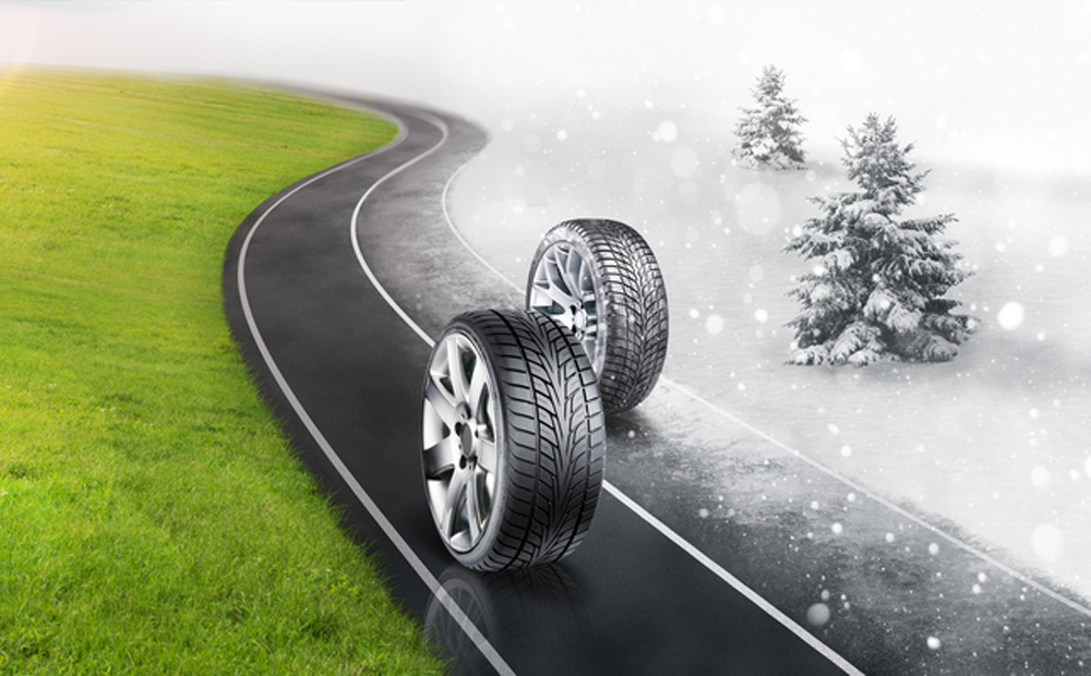 Top Car - Fiume Veneto