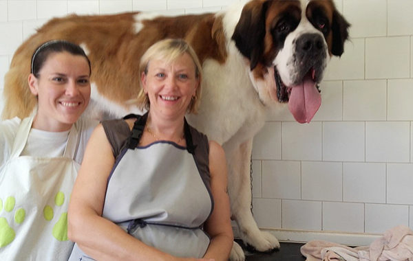 La Bella Vita - Toelettatura Pet Shop Tavagnacco - Tavagnacco