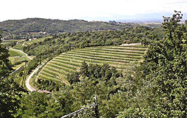Azienda Agricola “LA RAJADE” - Dolegna del Collio